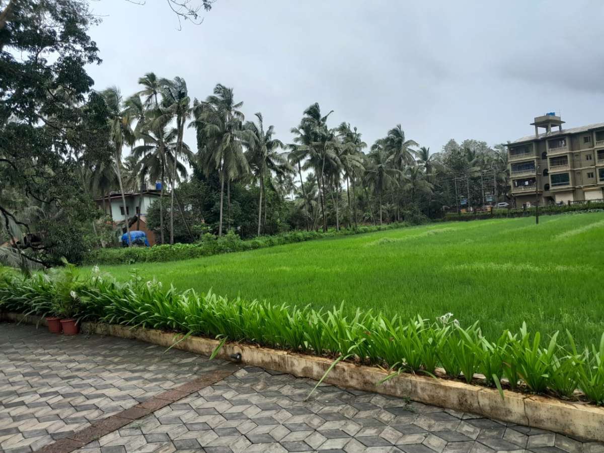 Photo of 2BHK Apartment in Siolim-RS005