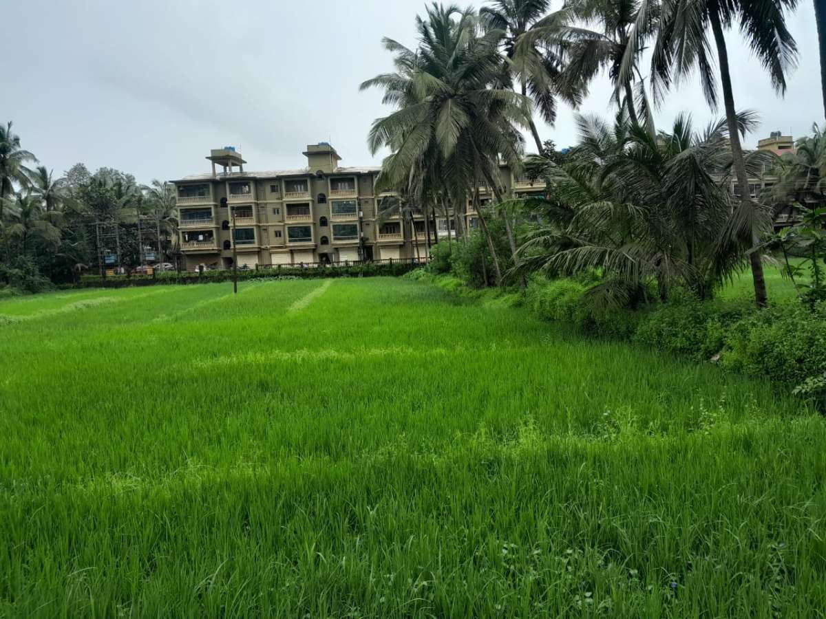 Photo of 2BHK Apartment in Siolim-RS005