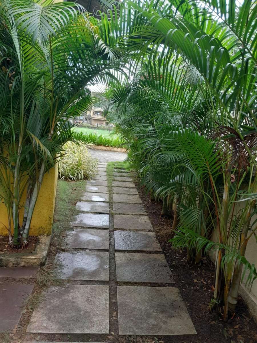 Photo of 2BHK Apartment in Siolim-RS005