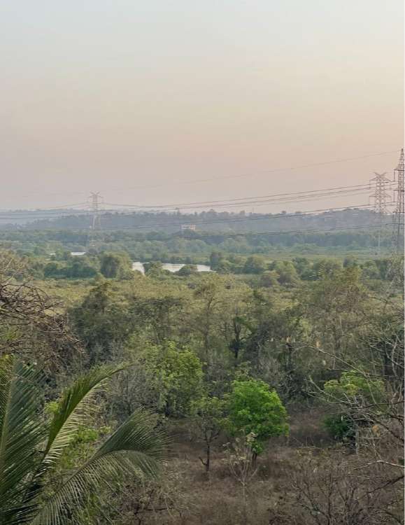 Photo of 2Bhk Apartment in Tivim-MD1