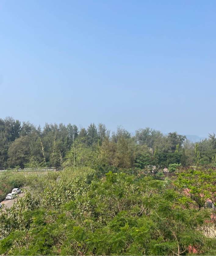 Photo of 3Bhk Apartment in Miramar-MD3