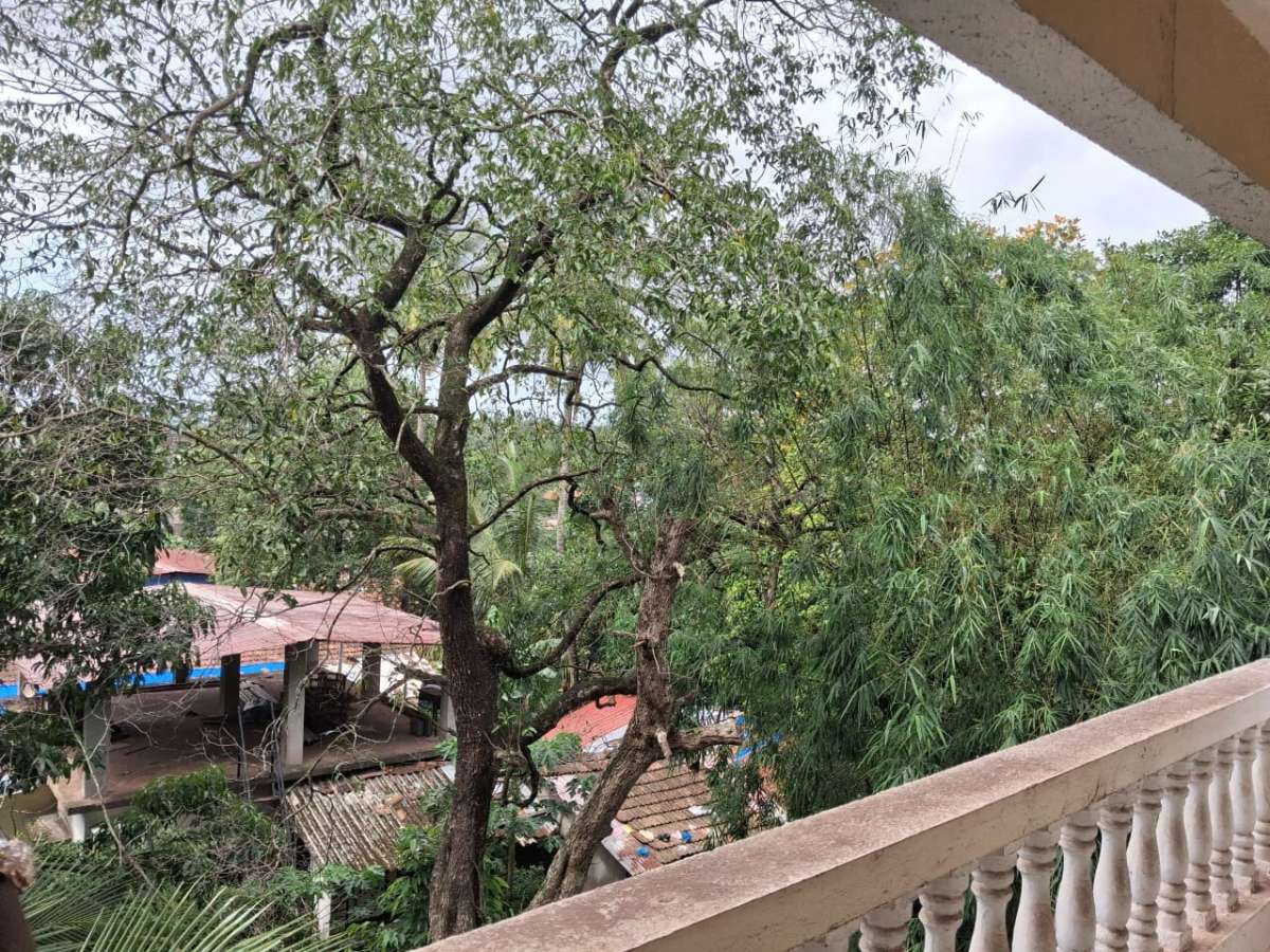 Photo of 2Bhk Apartment in Duler-G01