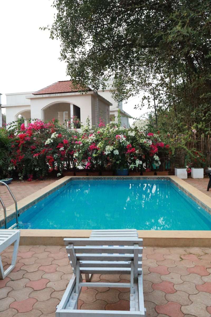 Photo of 1Bhk Apartment in Anjuna-Rs118