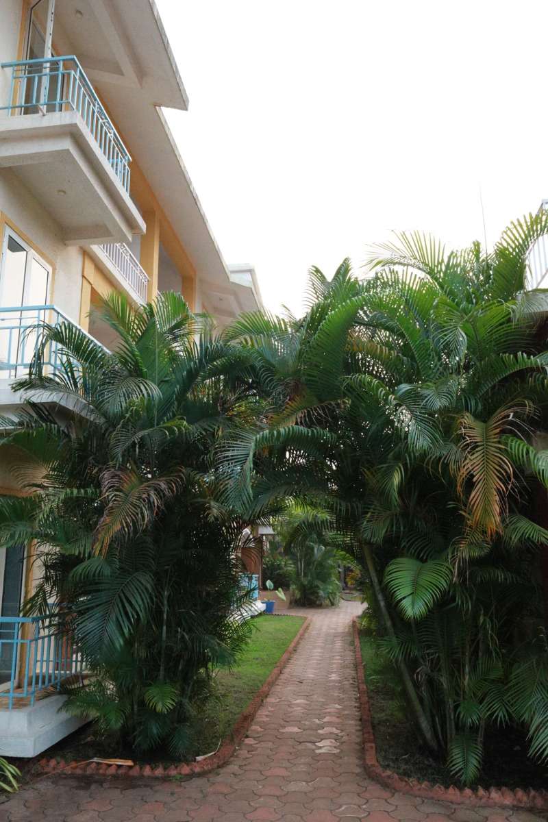 Photo of 1Bhk Apartment in Anjuna-Rs118