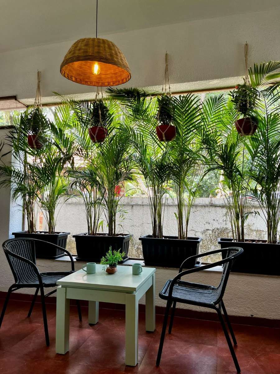 Photo of 1 BHK APARTMENT IN ARPORA